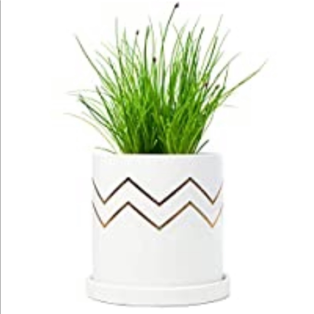 Planter 🌱